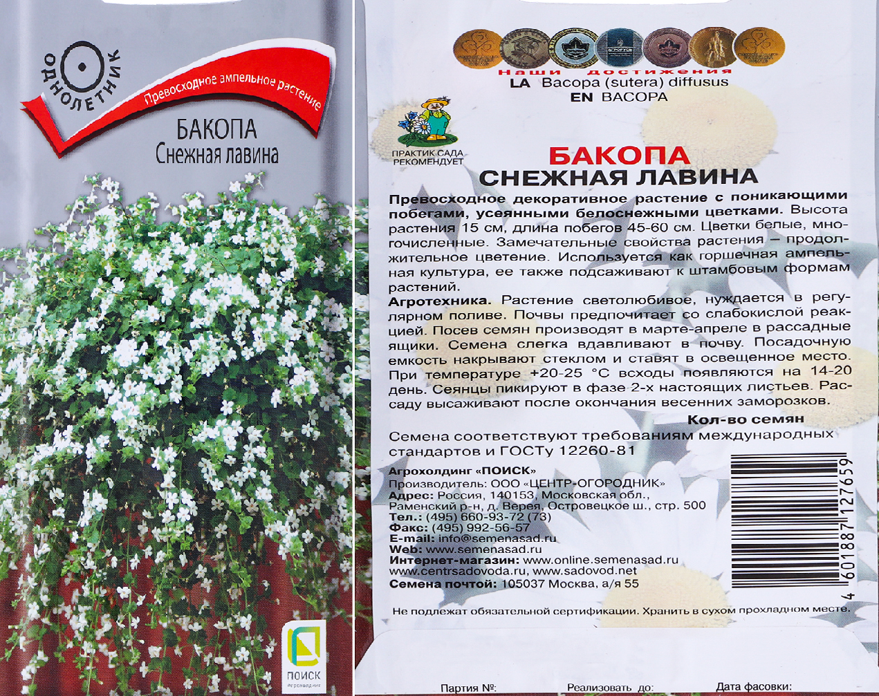 Бакопа Снежная лавина 5шт