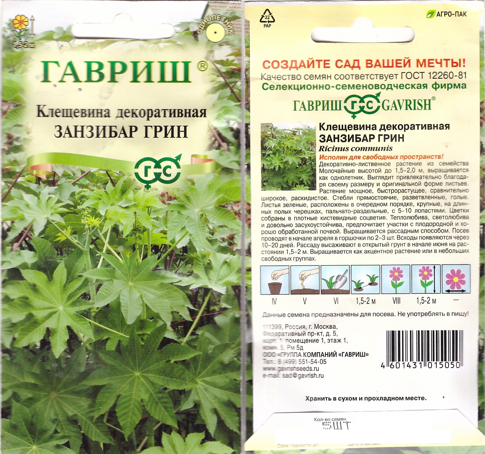 Клещевина Занзибар Грин 5шт