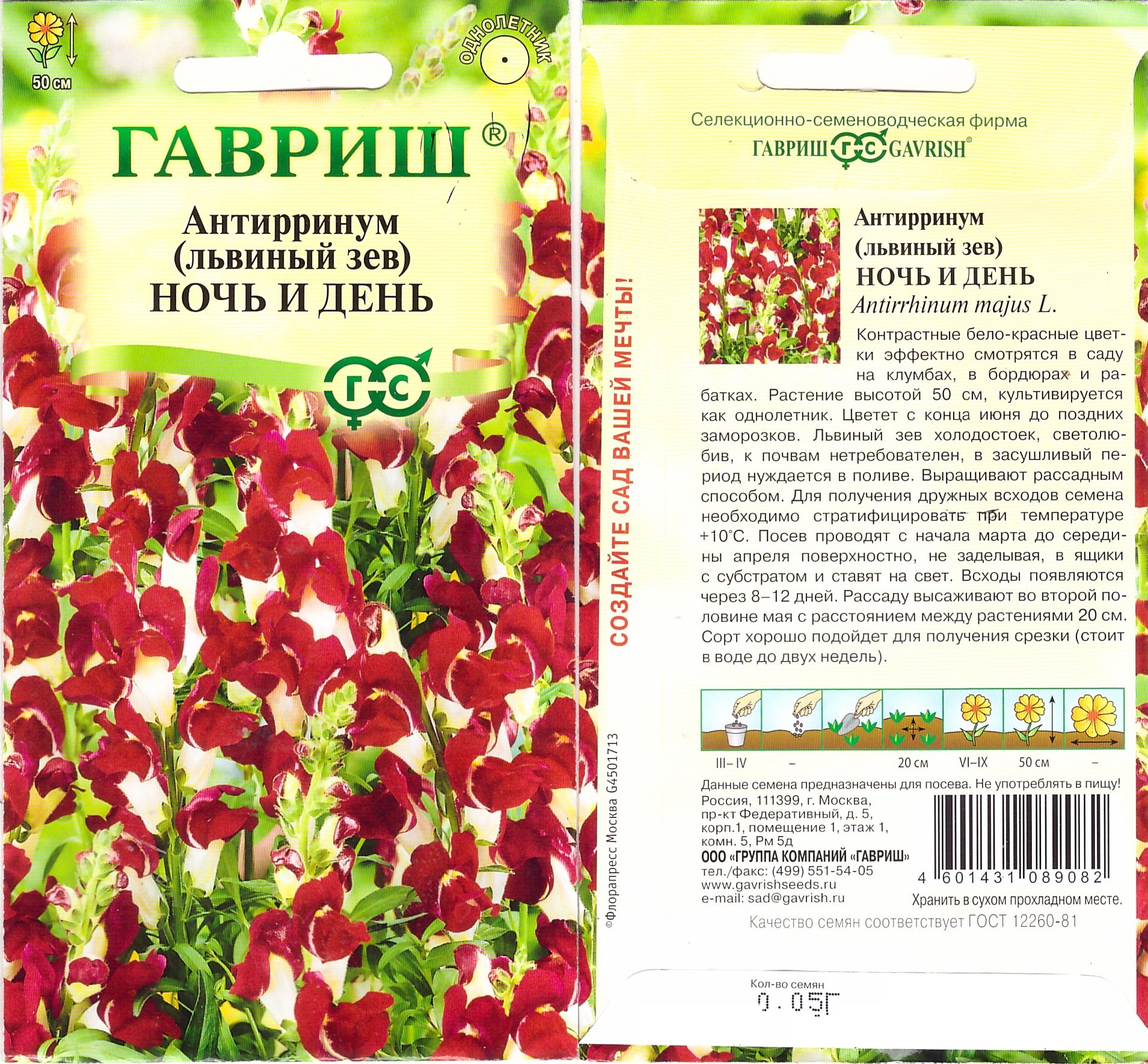 Львиный зев Ночь и день  0,05г (Антирринум)