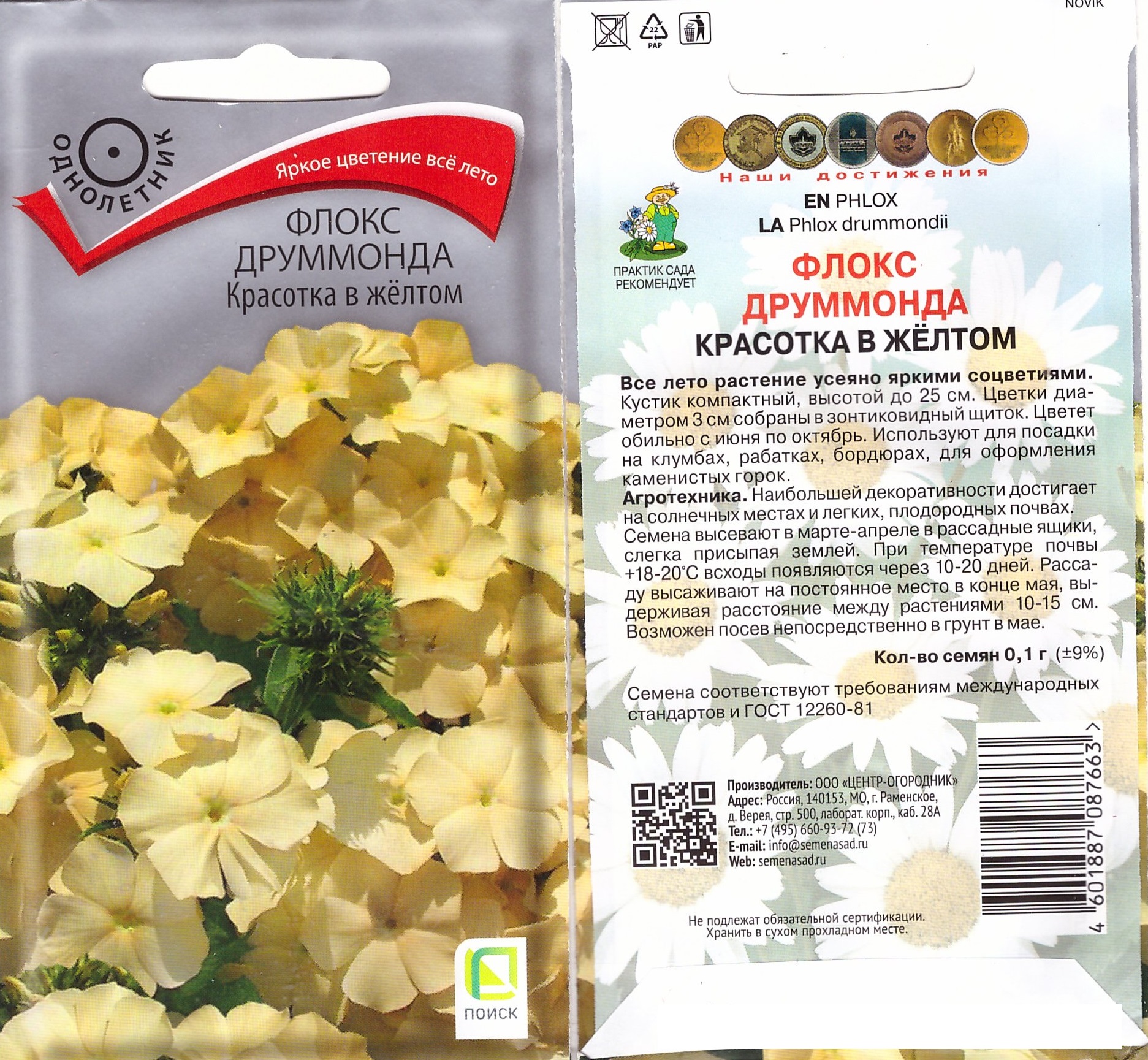 Флокс друммонда красотка в жёлтом