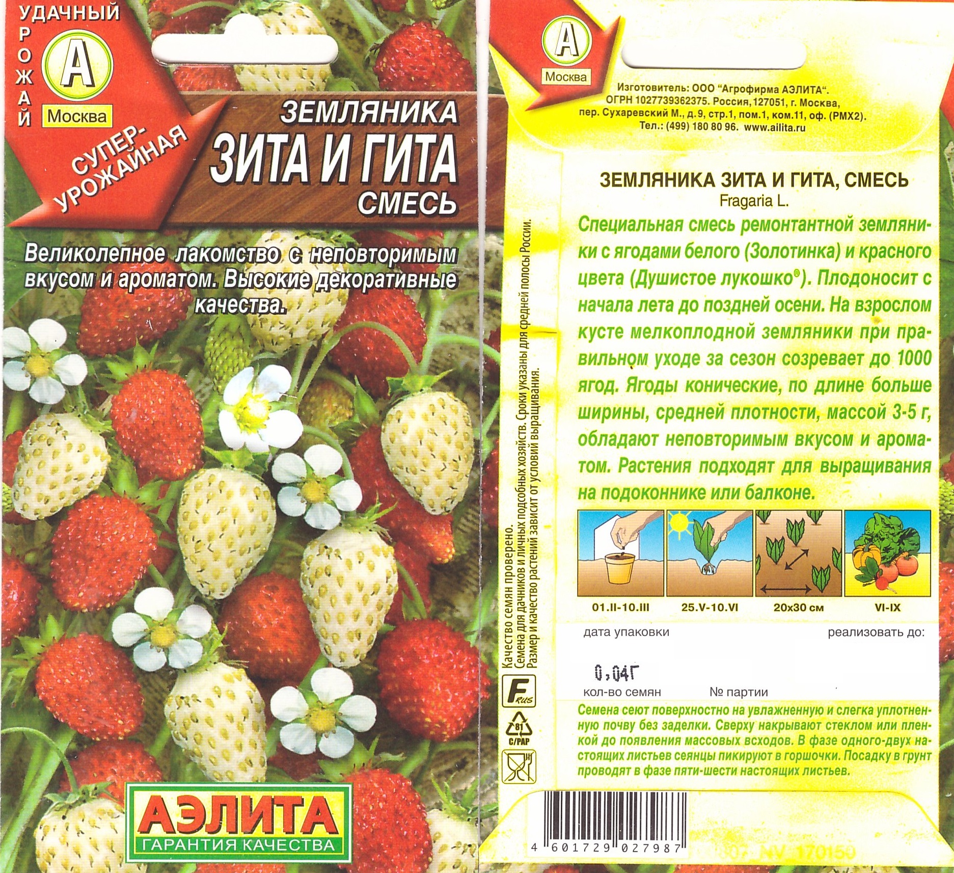 Земляника Зита и Гита, Аэлита