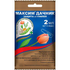 Максим Дачник,2мл 