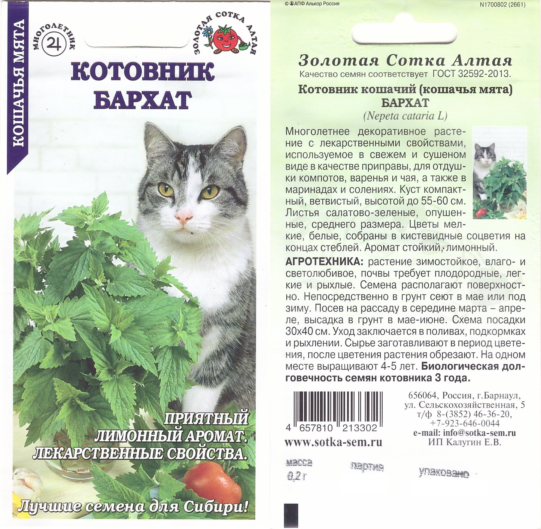Котовник Бархат