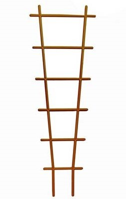 Поддержка для раст. Лесенка терра