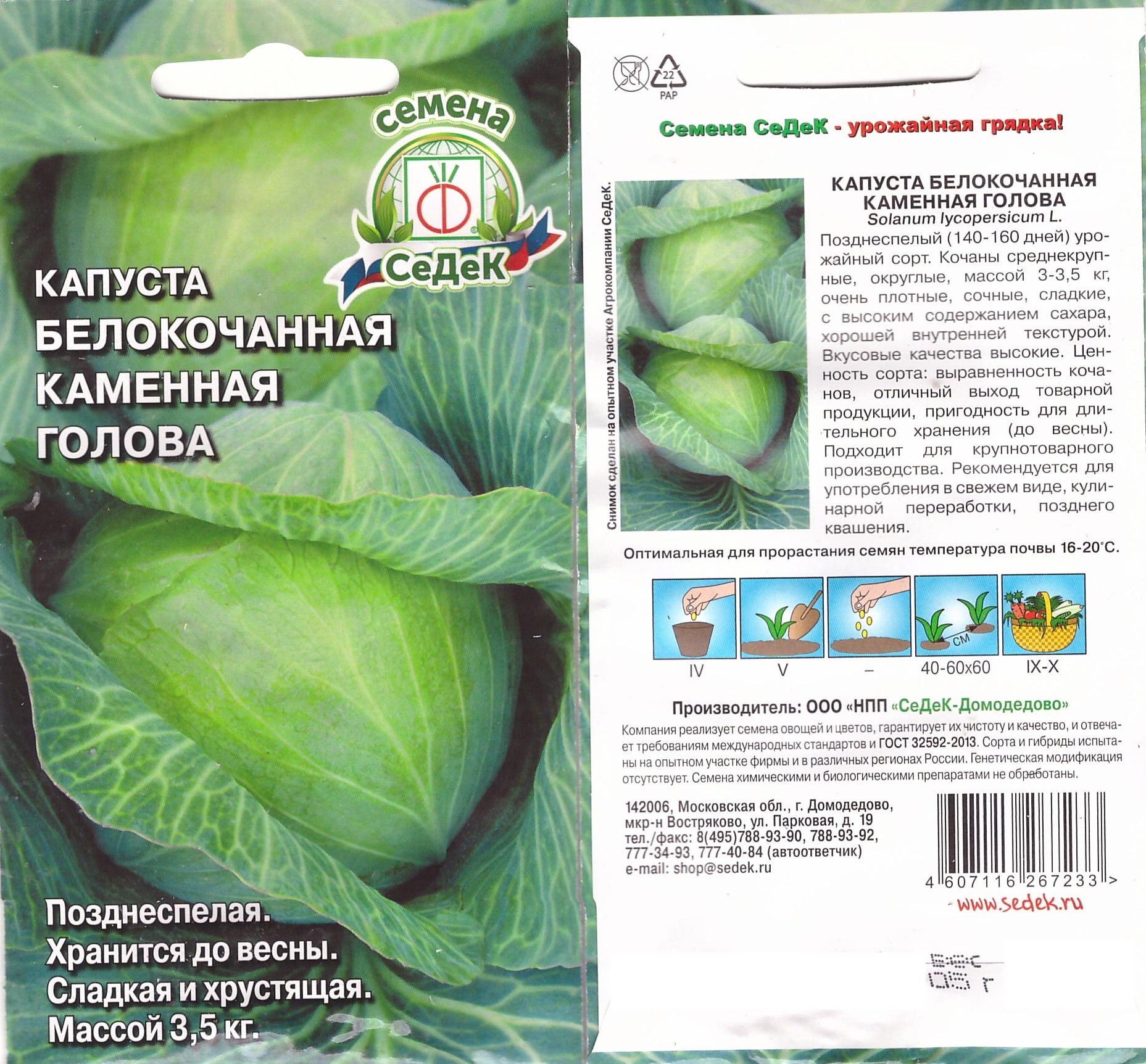 Капуста белокочанная Каменная голова (Седек)