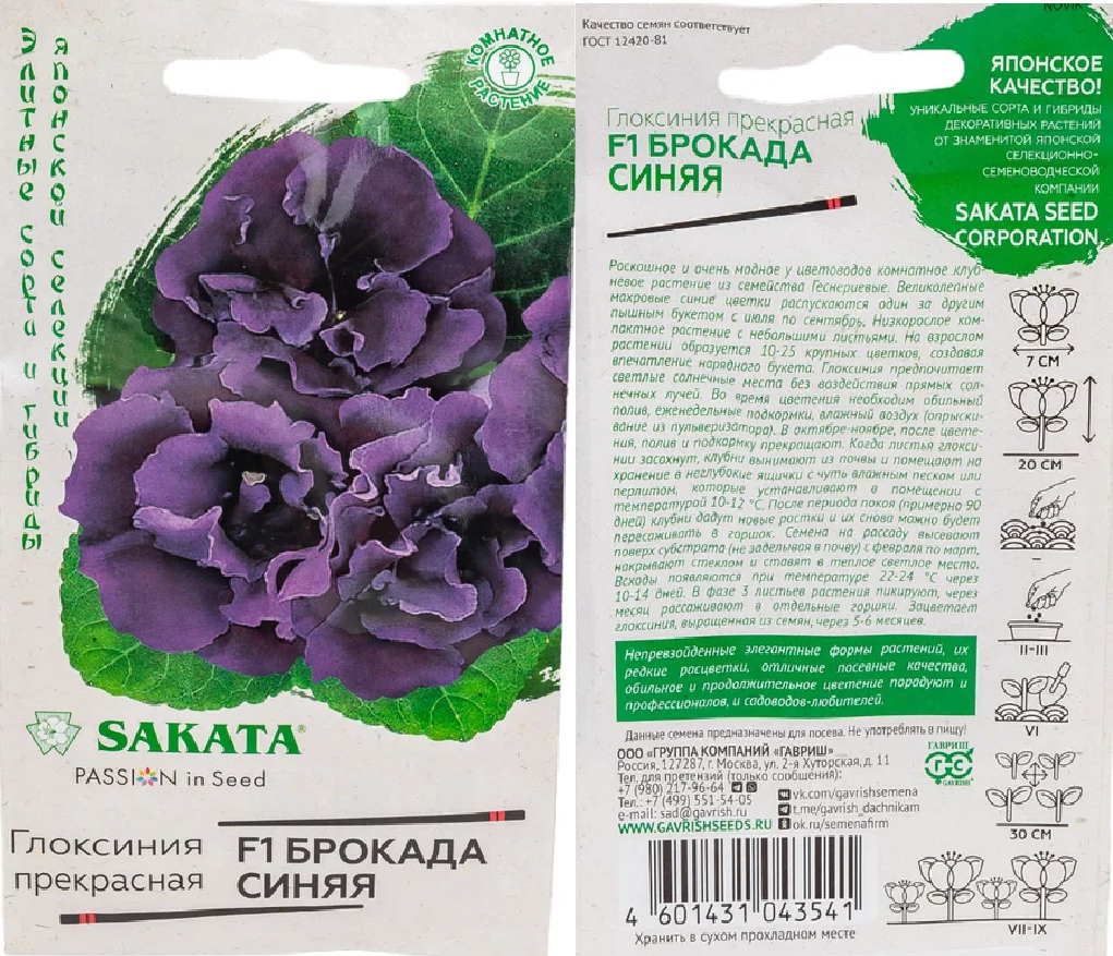 Глоксиния Брокада F1 синяя 4др Саката (Эксклюзив)