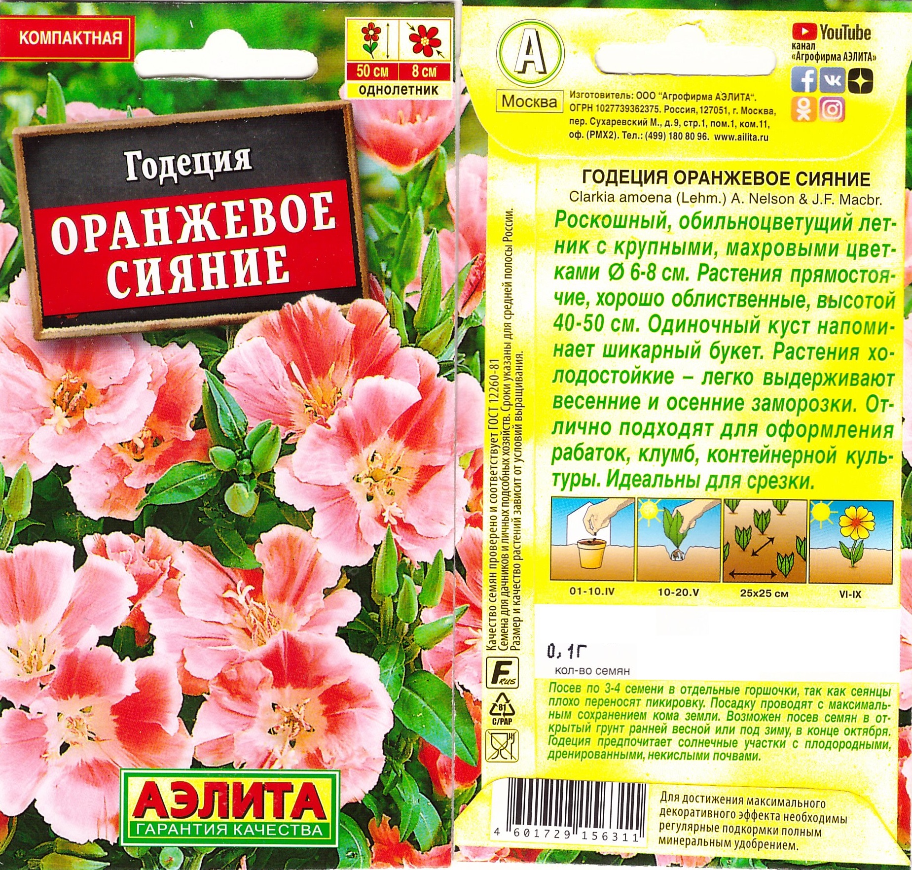 Годеция Оранжевое сияние махровая (Аэлита)