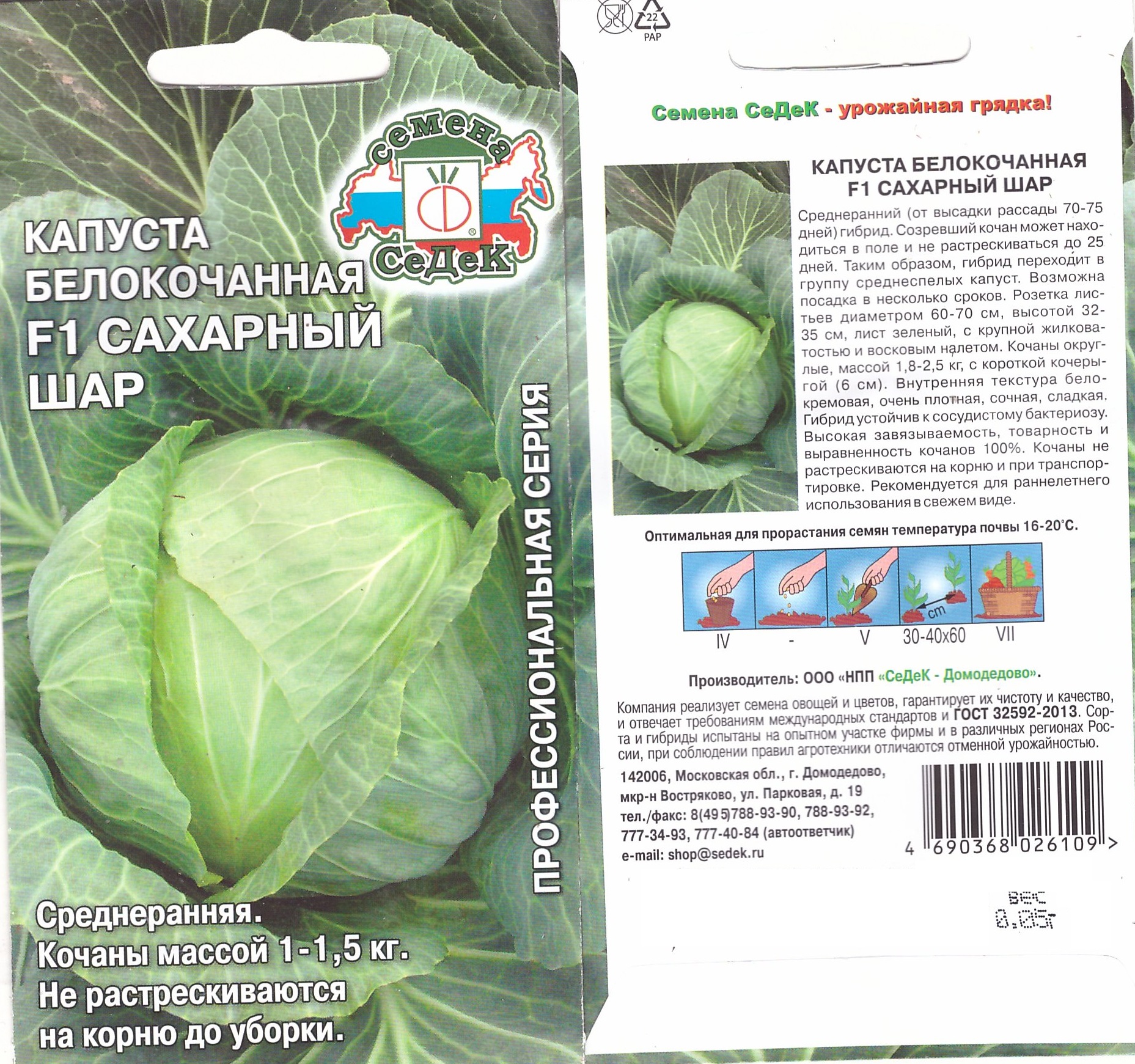 Капуста белокочанная Сахарный шар (Седек)