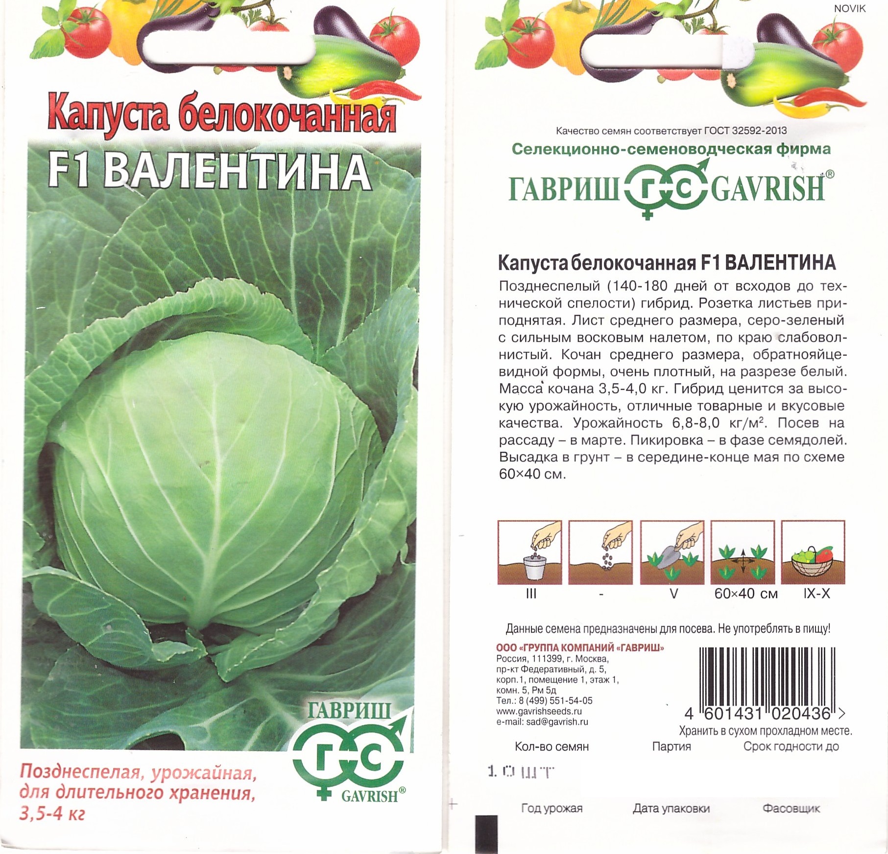Капуста белокочанная Валентина, Гавриш