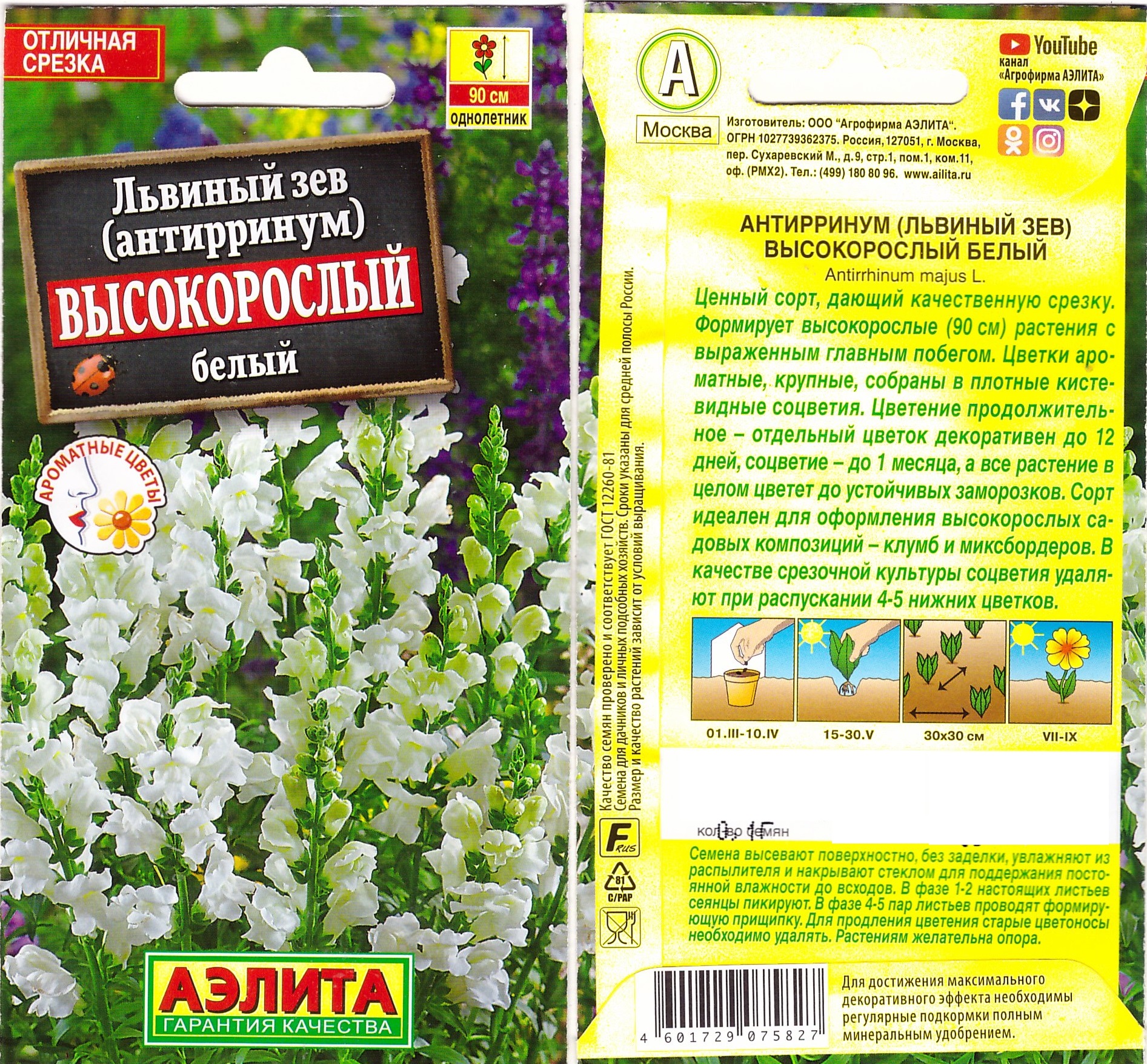 Львиный зев высокорослый белый