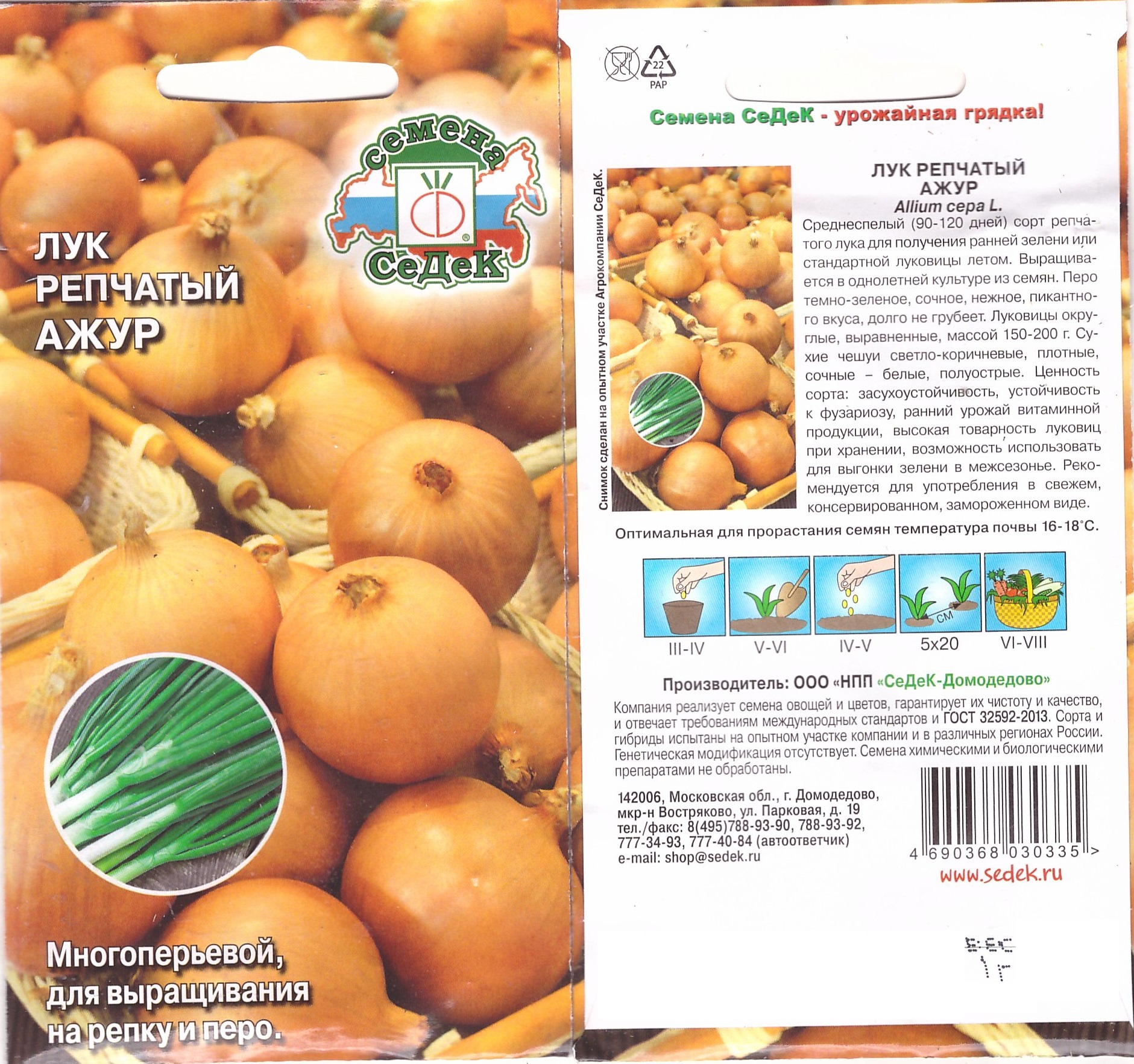 Лук репчатый Ажур (Седек)